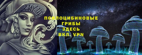 ПСИЛОЦИБИНОВЫЕ ГРИБЫ Алзамай