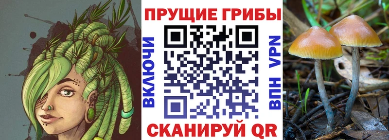 купить наркотик  Пыталово  Галлюциногенные грибы мухоморы 