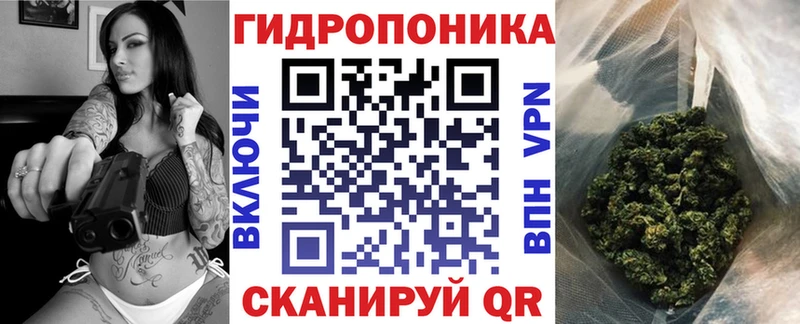 как найти наркотики Пыталово Конопля SATIVA & INDICA